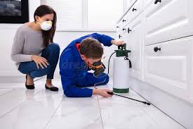 Best Residential Pest Control  in South St Paul, MN